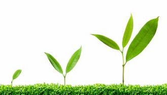 Growth